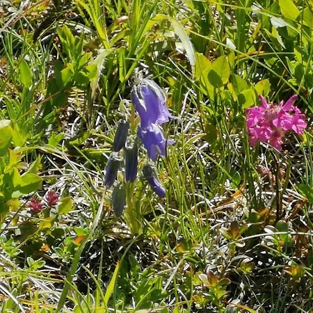 Arkadenhof ベッド・アンド・ブレックファスト Fürstenfeld