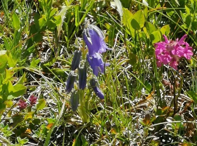 Arkadenhof Bed & Breakfast Loipersdorf bei Fuerstenfeld